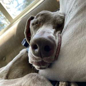 Meet your Posher, Michaella